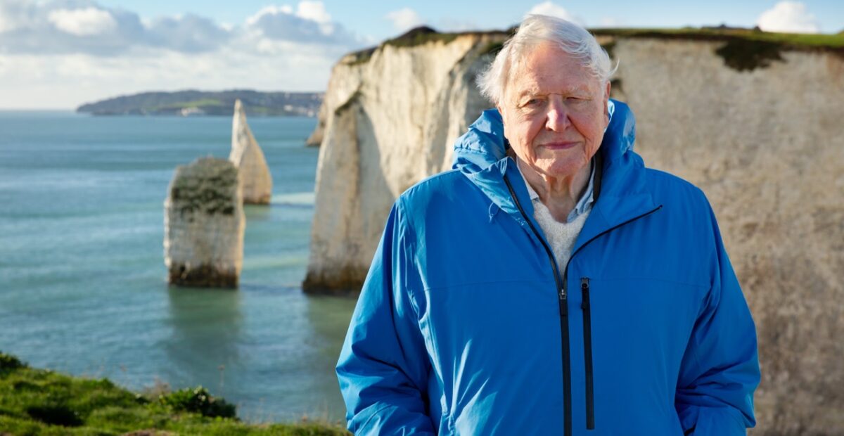 David Attenborough stands at the coast in Southern England. (Credit: Silverback Films and Open Planet Studios/Keith Scholey)
