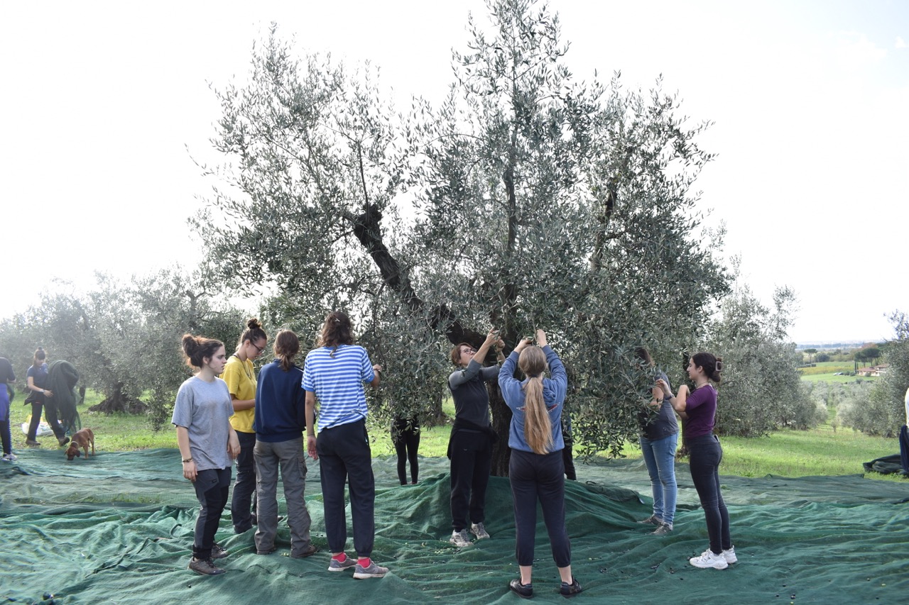 Operazione Mato Grosso