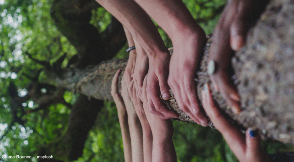 La ecología integral como compromiso común de las Iglesias cristianas y de las diferentes religiones