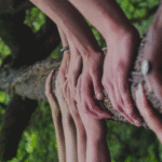 L’ecologia integrale come impegno comune delle Chiese cristiane e delle diverse religioni