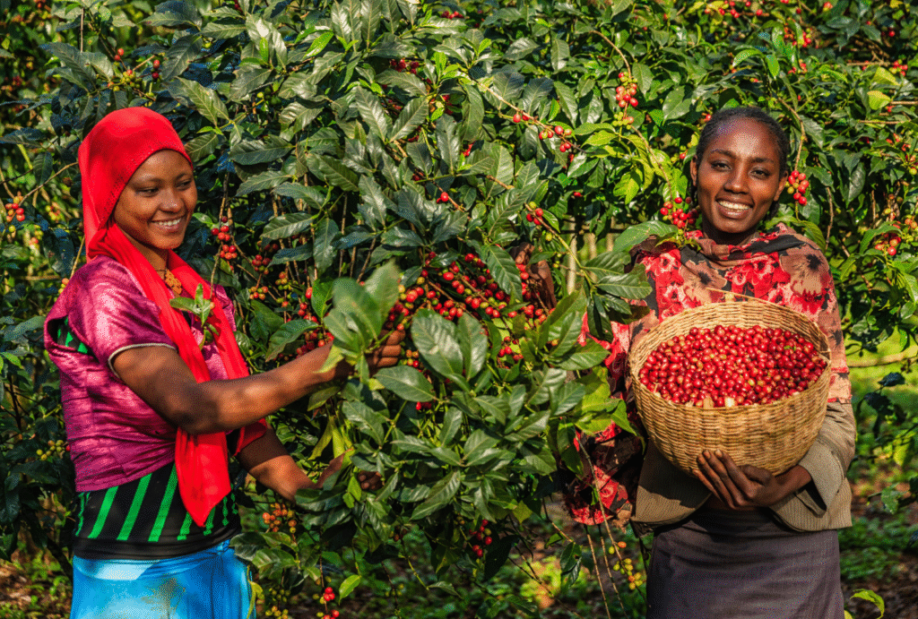 As mulheres e a segurança alimentar