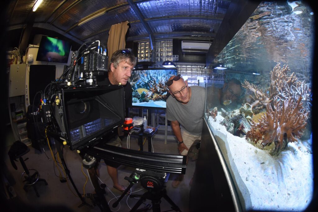 ¡Todos somos corales!