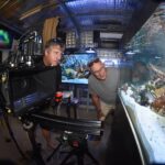 ¡Todos somos corales!