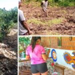 The Farm of Francesco, a change that rises from the earth