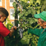 Associazione “Le due città”