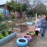 Il piccolo orto solidale di una scuola di periferia