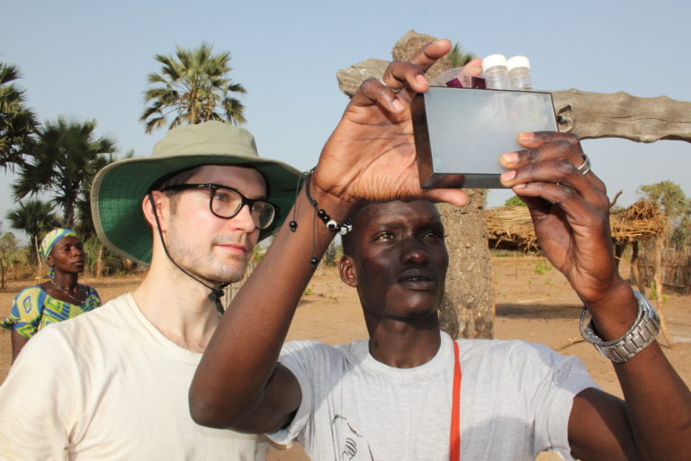 Greening Africa Together