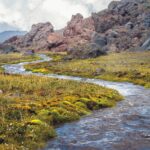 Semaine Laudato Si’ 2021