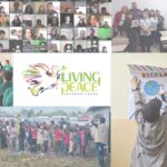Living Peace: un mes de junio muy intenso