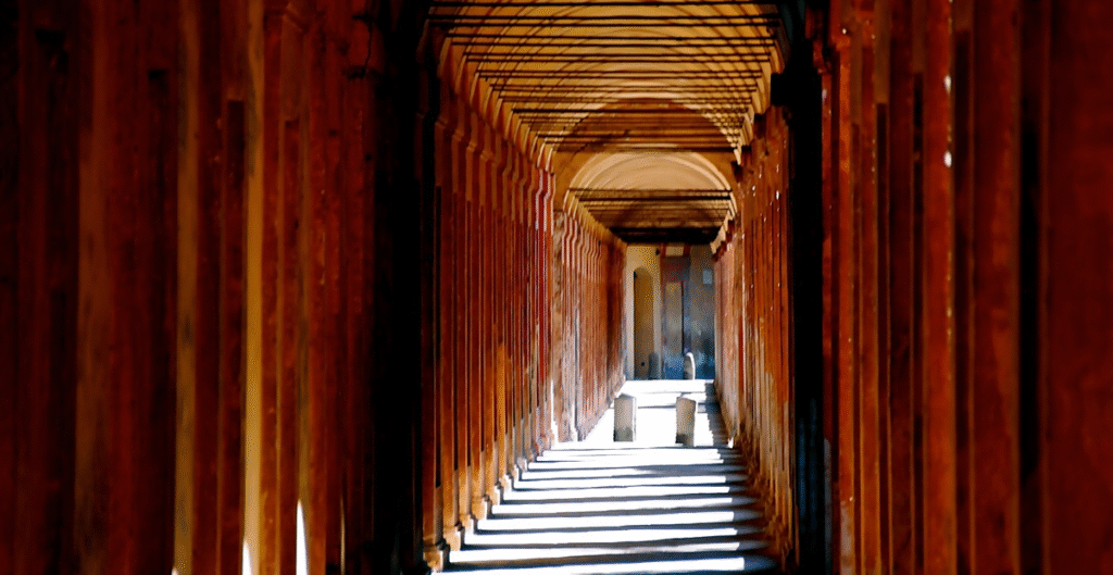 Francesco y el Covid: de la oscuridad a la luz