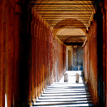 Francesco e o Covid: da escuridão para a luz