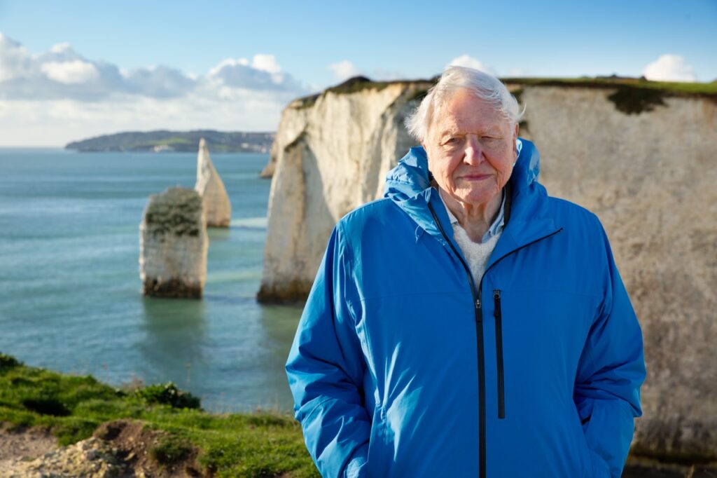 A beleza, as feridas e a força dos oceanos, no novo documentário de David Attenborough