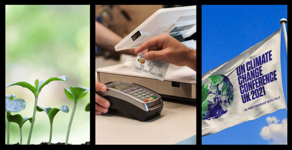 Qué tienen en común las plantas, la economía y la COP26