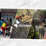 Volunteering From Africa to Latin America: MilONGa Opens Applications for 2026