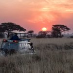 Operation Africa: the Miracle in the Forest