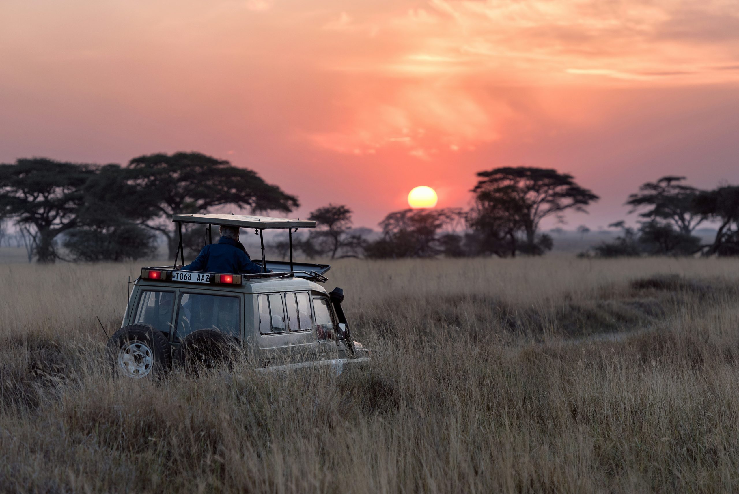 Operation Africa: the Miracle in the Forest