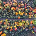 Newsletter Editorial 25-2026